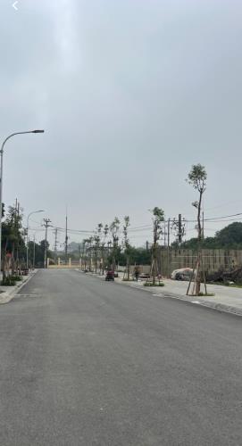 ĐẤT LÂM TIÊN 110 M ĐƯỜNG TRƯỚC ĐẤT 25 M VỈA HÈ ĐÁ BÓNG GIÁ ĐẦU TƯ - 1