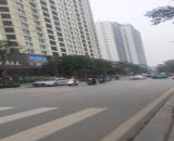 🏬BÁN NHÀ PHỐ TÂY HỒ   🔥43 m full NỘI THẤT DÒNG TIỀN ĐỈNH CHỈ 15.5 TỶ  +Khu vực dân trí c