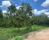 Cần bán gấp vườn trái cây H. Đồng Phú, Bình Phước, 3100m2, thổ cư 100m2