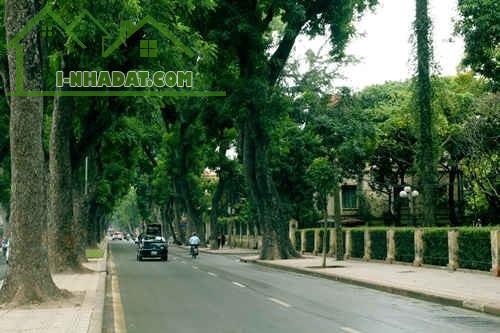Bán biệt thự Vườn Đào, Tây Hồ 236m mặt tiền 15m, view vườn hoa 129 tỷ