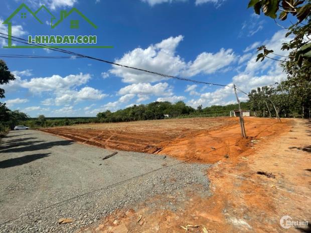 Chủ Cần Bán Lô Đất 1000m2 để làm đám cưới - 2