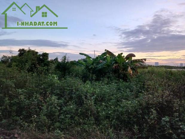 Chỉ 1 tỷ 7 sở hữu 290m đất Yên Mỹ - Thanh Trì mặt tiền 7m8, ô tô đỗ cửa