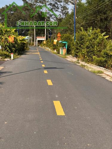 HẠ GIÁ 100 TRIỆU BÁN GẤP 3 LÔ ĐẤT 5X20 đường nhựa 15m THỔ CƯ 100% Đa Lộ Vĩnh Cửu BH
