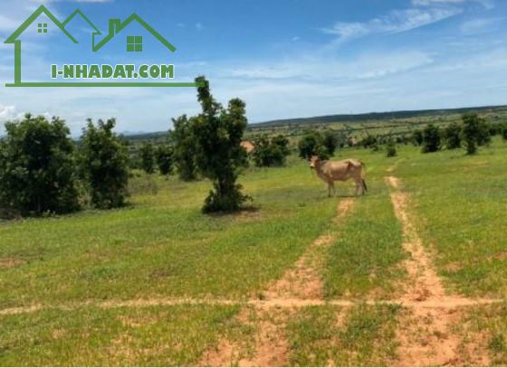 Cần bán nhanh-Đất gần Biển Mũi Né- Hồng Phong-Bắc Bình-DT 3,67Ha - 2