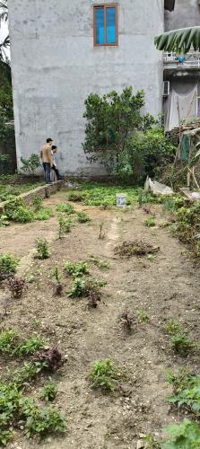 Bán đất Mỹ Hào Hưng Yên cách khu công nghiệp khoảng 800 m dt 59m² giá 1 tỷ xx. - 2
