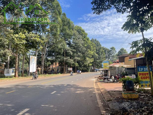 Bán đất 1.000 m2,thổ cư sẳn liền kề,giá 195 triệu, dân cư hiện hữu sầm uất - 2