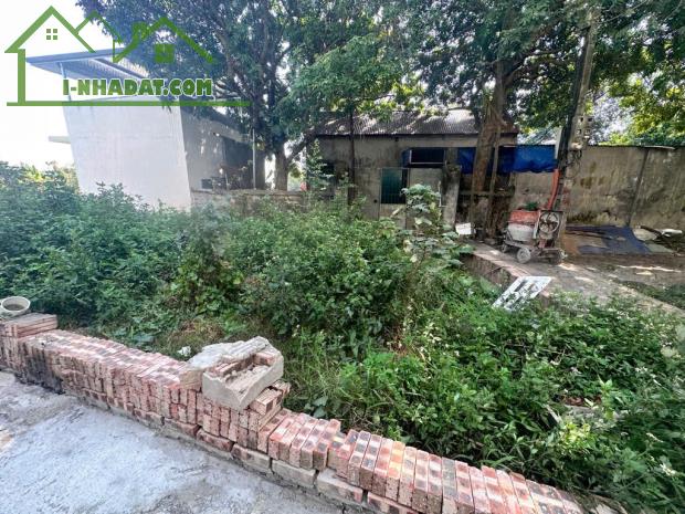 Bán đất Nông nghiệp 50 năm ở Đức Giang Long Biên diện tích rộng 370m giá 2 tỷ 7 - 2