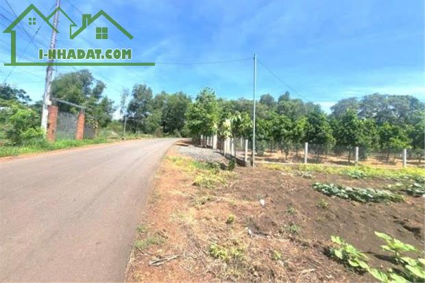 LÔ GÓC 2 MẶT TIỀN NGAY KCN BECAMEX CHƠN THÀNH, 3 SỔ RIÊNG 3.450M2 GIÁ SỐC 890TR BAO SỔ - 2