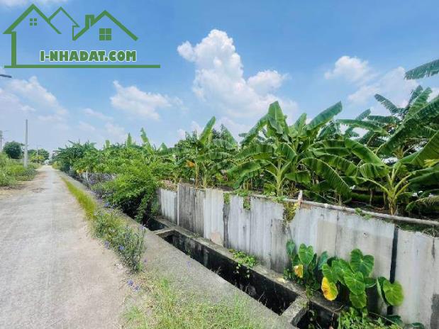 BÁN LÔ ĐẤT NÔNG NGHIỆP LÔ GÓC TẠI PHÚ THỊ - GIA LÂM 1640M Giá 2.1 TỶ