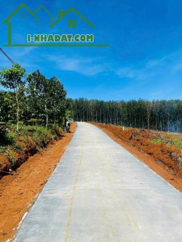 20 lô Đất 1315m², Đ.6m – Đắk Wer Tỉnh Đắk Nông 3xx tr - 1