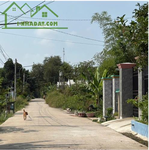 Chính chủ cần bán lô đất siêu hiếm tại Cây Trường 2 – Bàu Bàng – Bình Dương - 1