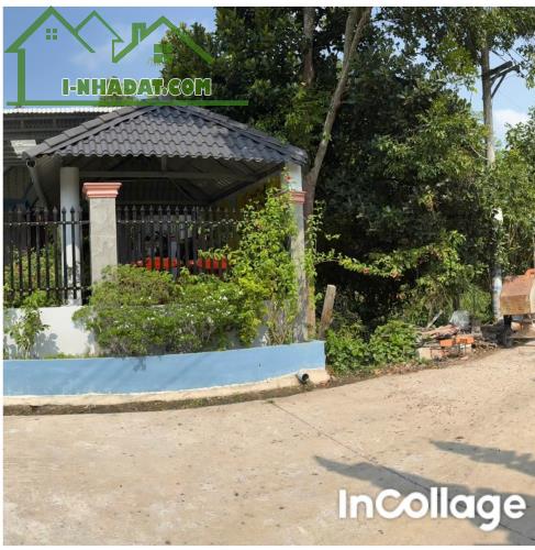 Chính chủ cần bán lô đất siêu hiếm tại Cây Trường 2 – Bàu Bàng – Bình Dương - 2