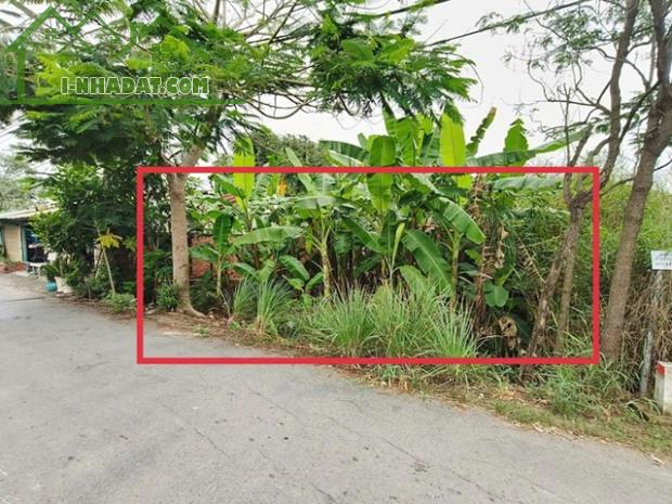 ĐẤT ĐẸP – GIÁ TỐT - CHÍNH CHỦ CẦN Bán Nhanh Lô Đất Tại Xã Quy Đức, Bình Chánh, HCM - 3
