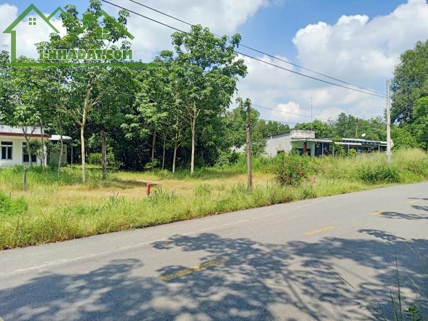 Cần bán gấp đất thổ cư Bàu Bàng, Bình Dương, 500m2, đường nhựa 30m