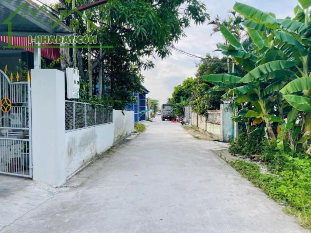 Bán đất Minh Tân - Kiến Thụy - Hải Phòng - 4