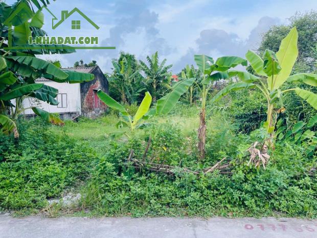 Bán đất Minh Tân - Kiến Thụy - Hải Phòng - 3