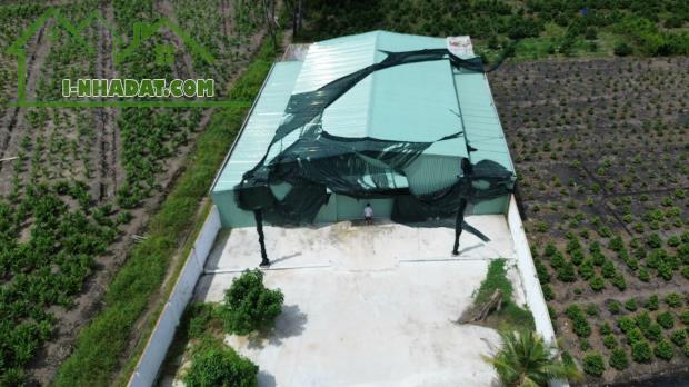 BÁN GẤP KHO XƯỞNG, Xã Lê Minh Xuân, Bình Chánh 1374m2 ( 20 X 68,7 ). Giá chỉ 11 tỷ.