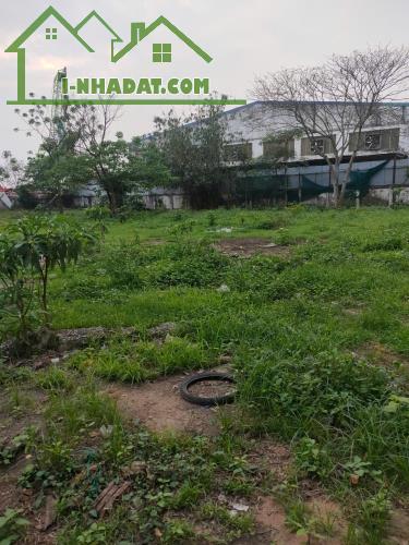 Bán đất Lô 8 tại kcn Ninh Hiệp, dt 2000m2 vị trí đẹp xây kho xưởng, giá 26 tỷ
