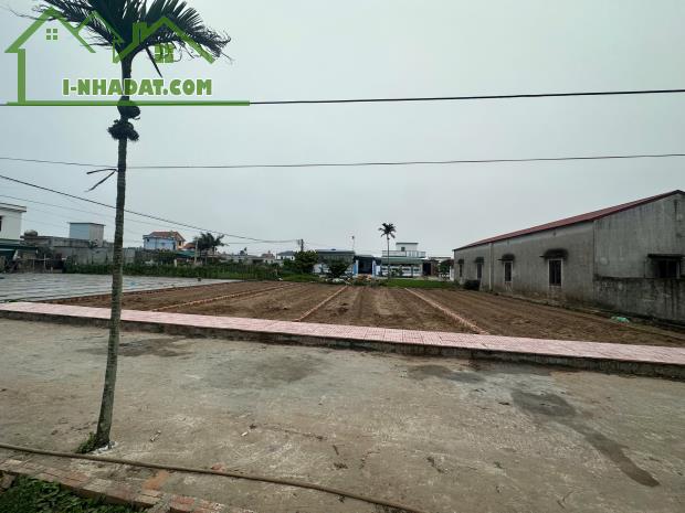 ĐẤTNỀN  SÁT BIỂN QUẤT LÂM NAM ĐỊNH
