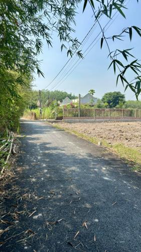 300triệu mua ngay 10mét ngang mặt tiền đường hương lộ 2 phường lộc hưng trảng bàng sổ hồng - 1