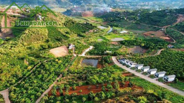 Chính Chủ Bán 297m2 Thổ Cư 160m2 Đất Tại Xã Mê Linh, Huyện Lâm Hà, Lâm Đồng.