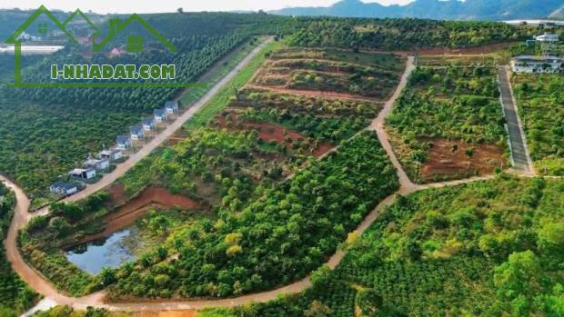 Chính Chủ Bán 297m2 Thổ Cư 160m2 Đất Tại Xã Mê Linh, Huyện Lâm Hà, Lâm Đồng. - 1