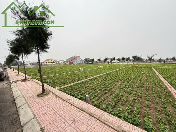 Bán đất thị trấn quất lâm gần quảng trường 90m2 chỉ nhỉnh 1 tỷ - 1