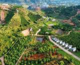 Chính Chủ Bán 297m2 Thổ Cư 160m2 Đất Tại Xã Mê Linh, Huyện Lâm Hà, Lâm Đồng.