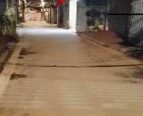 SIÊU HIẾM - 113M ĐẤT VÀNG - ĐỨC GIANG-LONG BIÊN - MT 4,6M - PHÂN LÔ - NGÕ Ô TÔ THÔNG 4