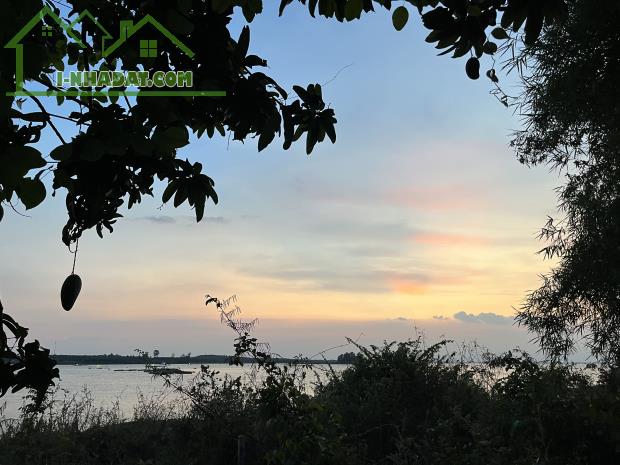 🌳 BÁN VƯỜN XOÀI ĐẸP NHƯ MƠ – VIEW HỒ TRỊ AN CỰC PHẨM 🌊 - 1