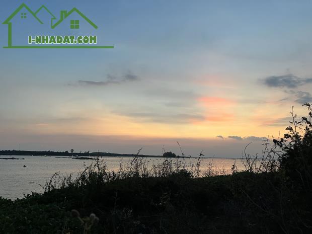 🌳 BÁN VƯỜN XOÀI ĐẸP NHƯ MƠ – VIEW HỒ TRỊ AN CỰC PHẨM 🌊 - 2