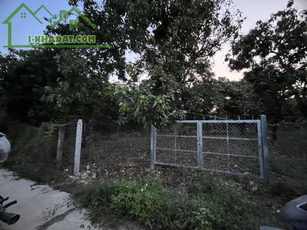 🌳 BÁN VƯỜN XOÀI ĐẸP NHƯ MƠ – VIEW HỒ TRỊ AN CỰC PHẨM 🌊 - 5