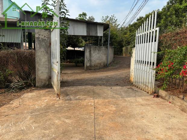 CHÍNH CHỦ BÁN GẤP VƯỜN GẦN SÂN BAY LONG THÀNH – CÓ THỔ CƯ – GIÁ CHỈ 1TR9/M² (THƯƠNG LƯỢNG)