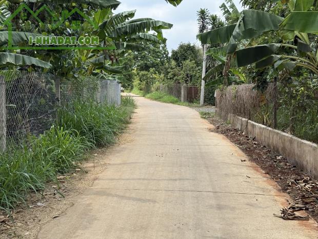 CHÍNH CHỦ BÁN GẤP VƯỜN GẦN SÂN BAY LONG THÀNH – CÓ THỔ CƯ – GIÁ CHỈ 1TR9/M² (THƯƠNG LƯỢNG) - 2