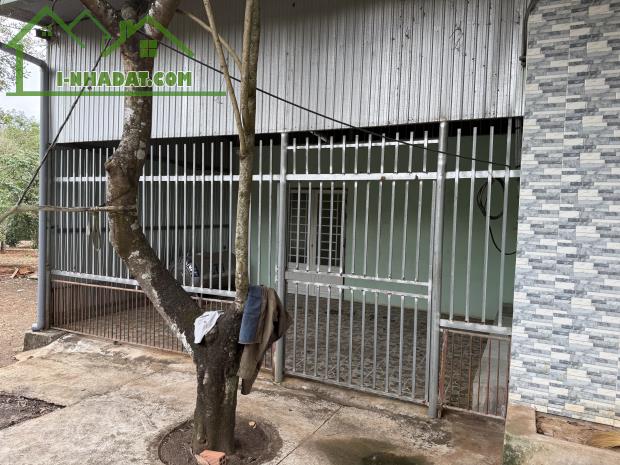 CHÍNH CHỦ BÁN GẤP VƯỜN GẦN SÂN BAY LONG THÀNH – CÓ THỔ CƯ – GIÁ CHỈ 1TR9/M² (THƯƠNG LƯỢNG) - 3
