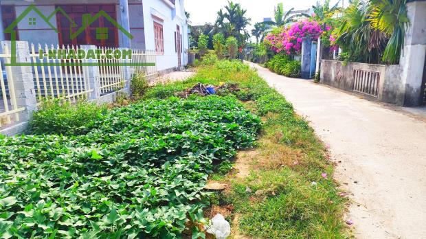SIÊU PHẨM LÔ GÓC GIÁ RẺ TỊNH HÀ – CHỈ 390 TRIỆU! - 1