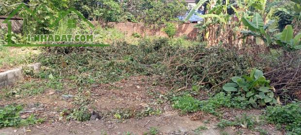 bán lô 125m đông sơn, mặt tiền 7m, đường ô tô tránh giá sinh lời - 3