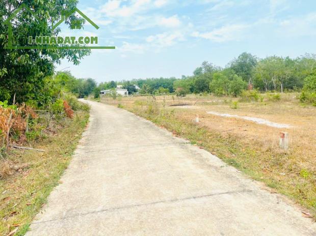 Nguồn mới tinh, chủ vừa gửi lô Tân Phước