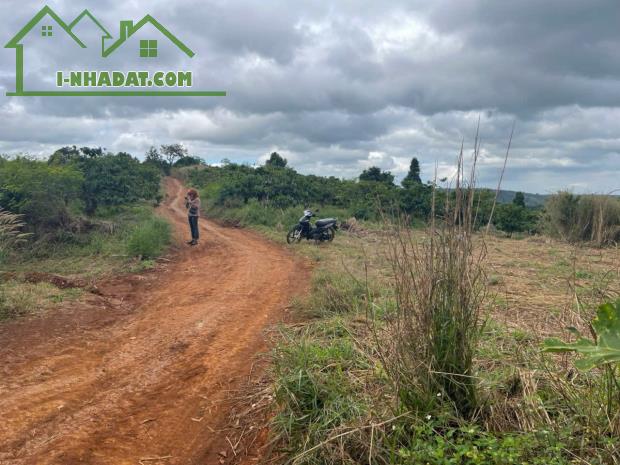 Víp hơn 5 sào đất tại Ea Sin-Krong Busk- Đắk Lắk đất đỏ bazan mà giá chỉ 599tr