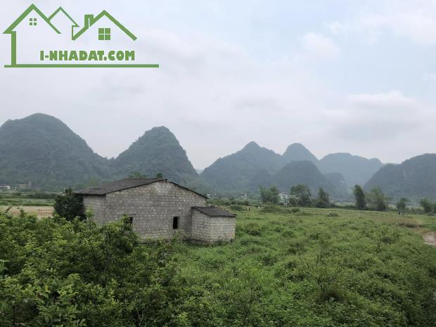 Bán Đất Cây Lâu Năm tại Mông Ân Bình Gia Thác Đăng Mò 1000m x 20m chỉ 20 Tỷ. - 1