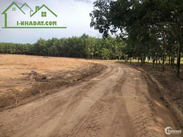 🔥 Đất sạch, chủ dễ thương, giá nhẹ như bông – không mua là tiếc cả đời - 1
