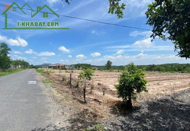 🔥 Đất sạch, chủ dễ thương, giá nhẹ như bông – không mua là tiếc cả đời - 2