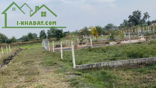 Chính chủ cần cho thuê hơn 6,2 sào đất nông nghiệp
