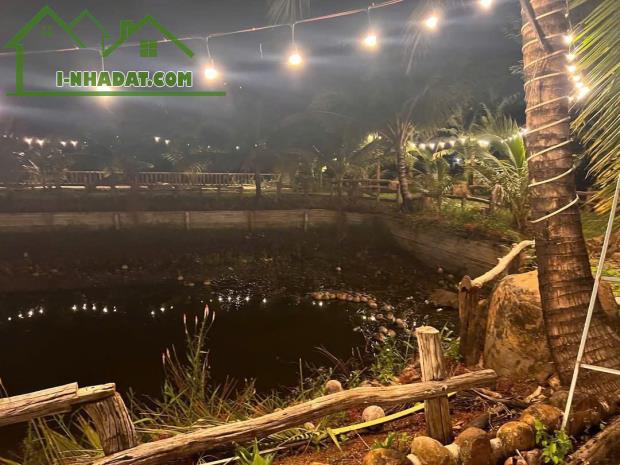 View nhà vườn nghỉ dưỡng cực đẹp tại chợ việt đức 3 EaBhôk - 3