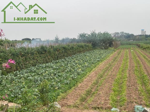 Bán đất xã Yên Mỹ, Thanh Trì, dt 680m2, giá 2.25 tỷ, đường 8m, oto tránh. Lh 0888229559 - 1