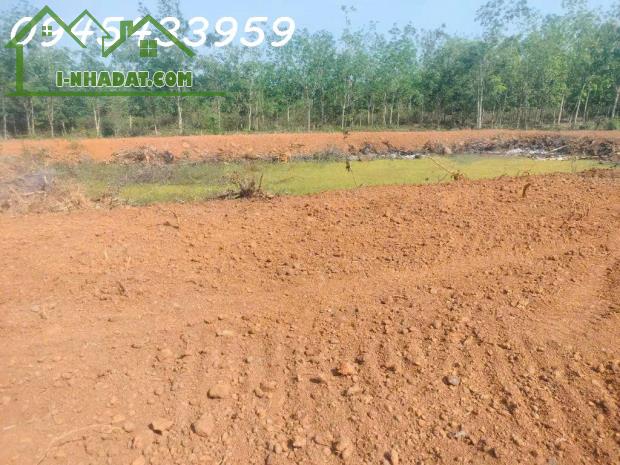 Bán đất đang làm nông trại và khu nghỉ dưỡng mặt tiền lớn có suối, 1 mẫu 4 thực tế 1 mẫu 6 - 1