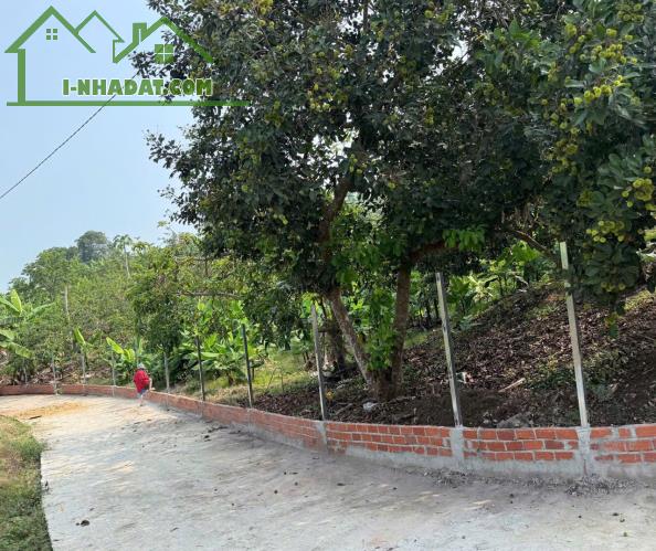 BÁN VƯỜN TRÁI CÂY đã thu hoạch - ngay khu dân cư - đường Ô TÔ vào tận đất - điện nước có