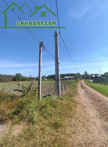 Chính Chủ Cần Bán Đất Có Nhà Tại Xã Phước Minh, Huyện Dương Minh Châu, Tây Ninh. - 4