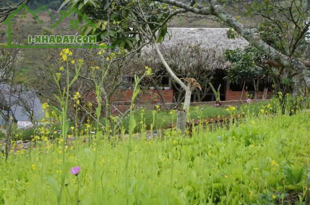 Bán Đất View Đẹp Tại Khu Du Lịch Cộng Đồng Tổ Vặt Hồng, P. Mường Sang, TX Mộc Châu - 4
