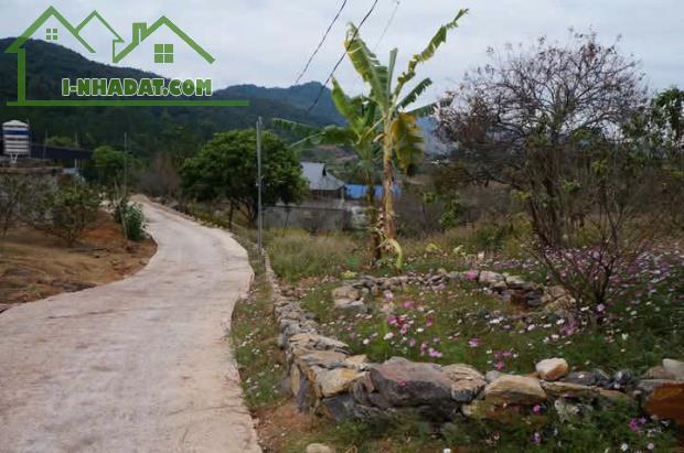Bán Đất View Đẹp Tại Khu Du Lịch Cộng Đồng Tổ Vặt Hồng, P. Mường Sang, TX Mộc Châu - 3